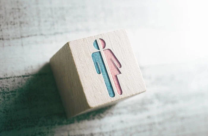 Приняты законы, запрещающие трансгендерам заходить в женские туалеты, раздевалки и спальни