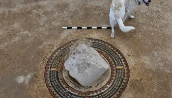 В Иудейской пустыне раскопаны великолепные византийский монастырь и иудейская миква